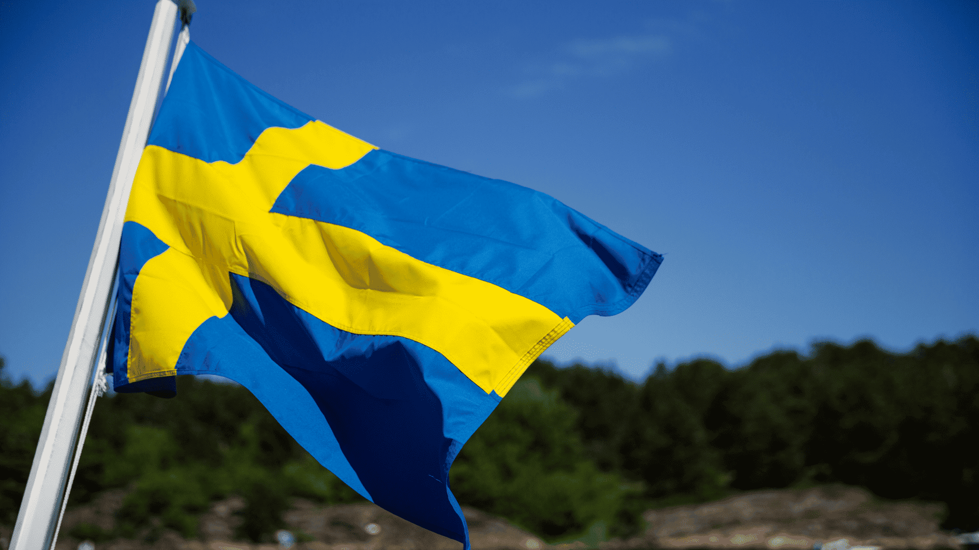 White Label Advisory | Unternehmensberatungen in Schweden