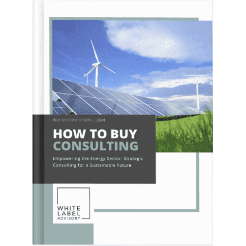 53 WLA How to Buy Consulting Whitepaper | Procurement & Energy